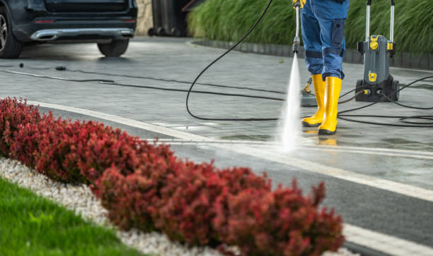 Best Fence Pressure Washing  in St Petersburg, FL