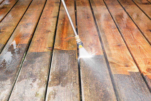 Best Residential Pressure Washing Services  in St Petersburg, FL