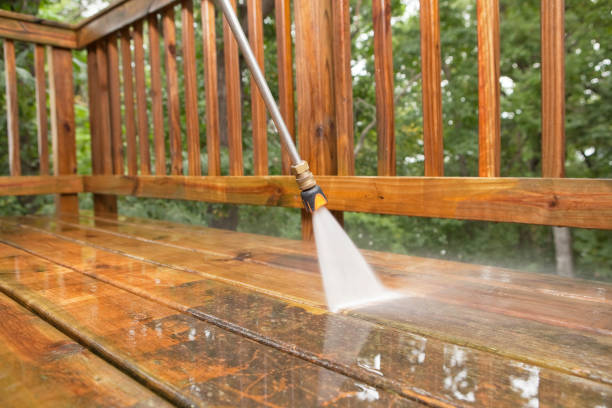 Best Roof Pressure Washing  in St Petersburg, FL