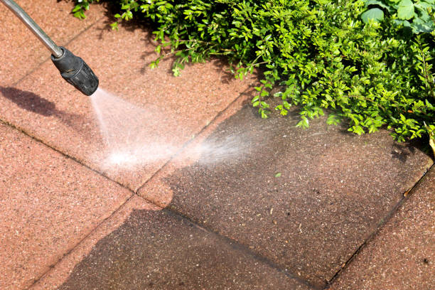 Best Pressure Washing Patio  in St Petersburg, FL